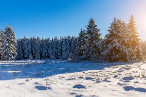 Fangen Sie rechtzeitig an, Ihr Auto winterfest zu machen.