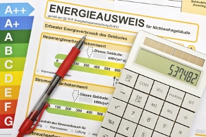 Seit 2011 müssen Angaben zur CO2-Effizienz beim Auto gemacht werden. 