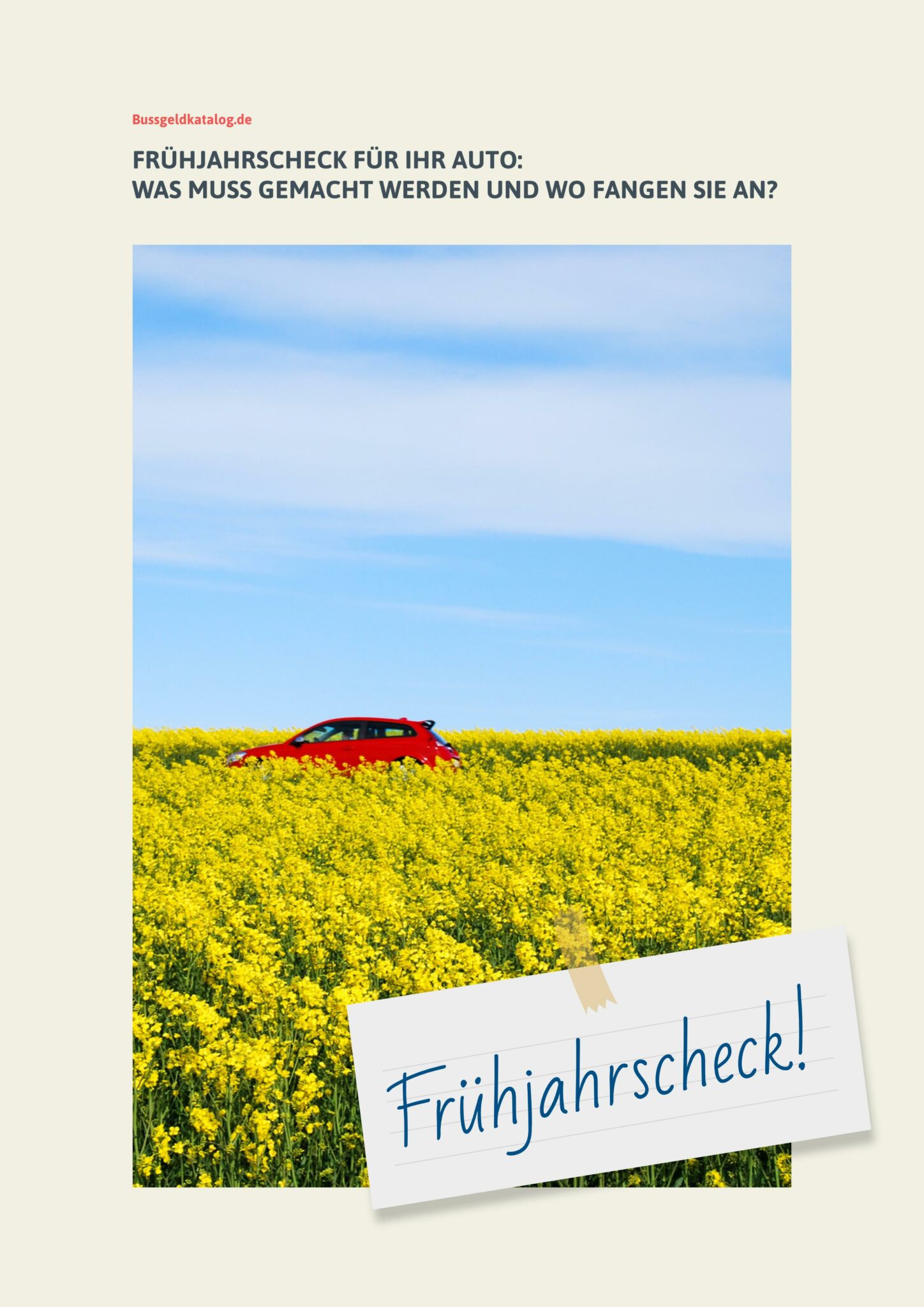 ebook-fruehjahrscheck-auto-bild