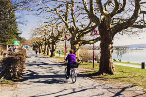 Radwege dürfen generell nur von Radfahrern benutzt werden. 