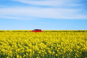 Mit einem Sommercheck beim Auto kommen Sie sicher durch die warme Jahreszeit.