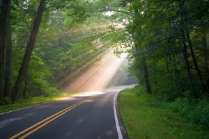 Tagfahrlicht kann zum Beispiel auf Straßen mit wenig Lichteinfall nützlich sein.
