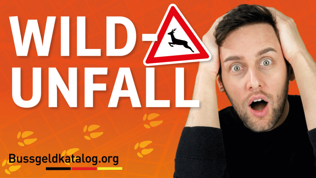 Wildunfall: Was tun? Wer zahlt? Wichtige Tipps